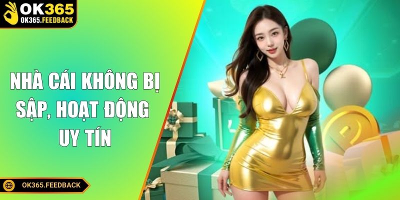 Nhà cái không bị sập, hoạt động uy tín
